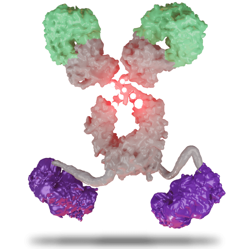 SI-B001